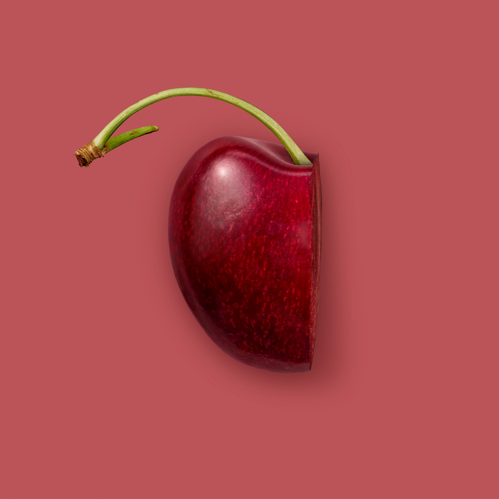 Cherry_Hero_Stem